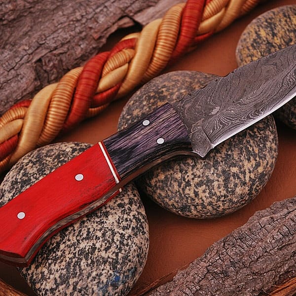 S l1600 2 1443844a eb3e 4db0 81d8 9dd8a1153b34 2048x2048