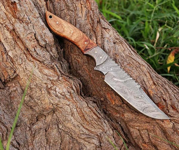 Custom Damascus Steel Blade Hunting Knife with Walnut Wood Handle 2